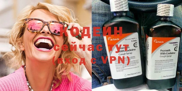ГАЛЛЮЦИНОГЕННЫЕ ГРИБЫ Тавда