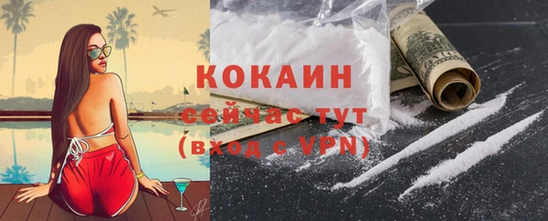 PSILOCYBIN Снежинск