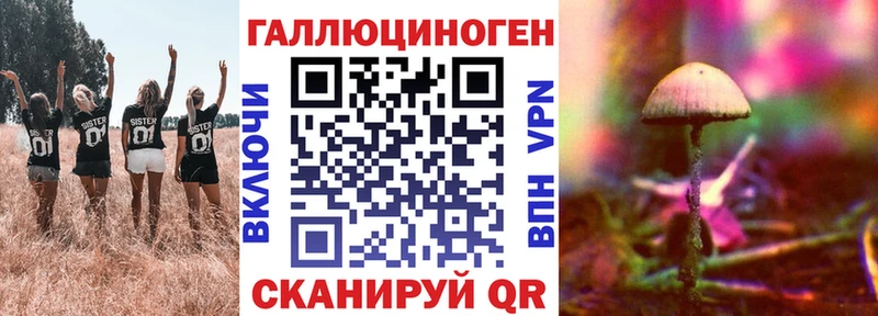 OMG как зайти  наркошоп  Серафимович  Галлюциногенные грибы GOLDEN TEACHER 